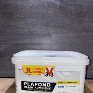 Peinture plafond
