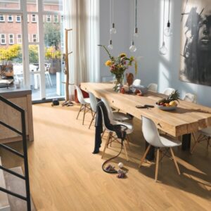 La gamme de lame courte - PS300 de chez MEISTER