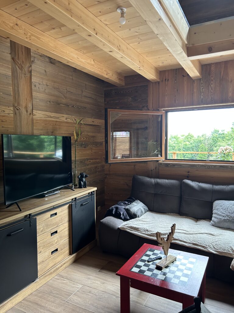 Une maison à l'intérieur en bois unique : qualité, écologie et confort